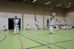 017-Schwechat-Dell-Hamby-Sensei-2024